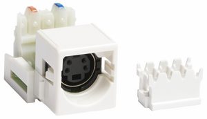 CommScope S-VIDEO TO 110 OUTLET, WHITE a